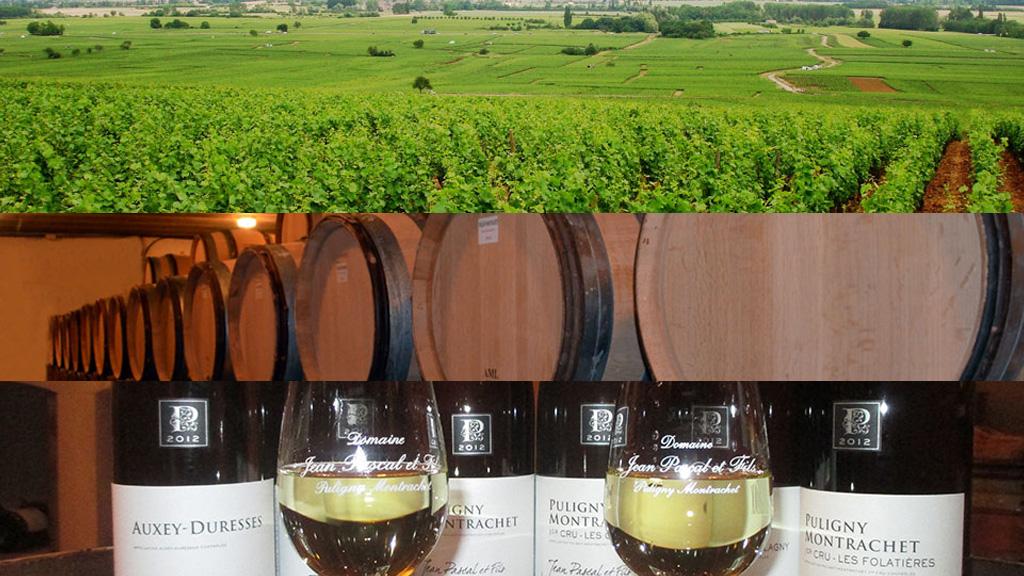 Domaine Jean Pascal et Fils