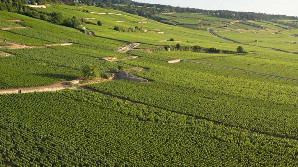 Domaine Francoise et Denis Clair