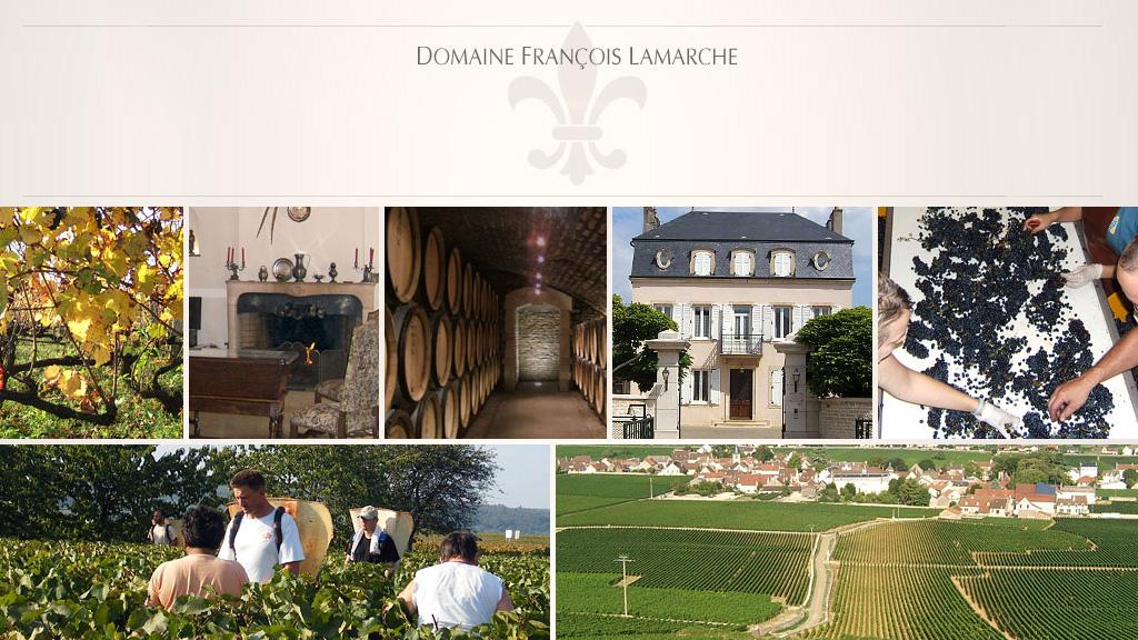 Domaine Francois Lamarche