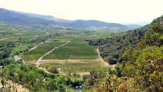 Cotes du Roussillon Villages Latour de France image